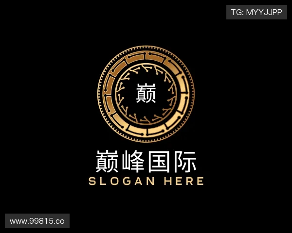 导引巅峰国际